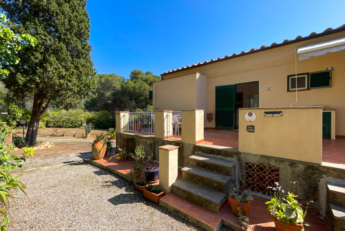 Appartamento La Terrazza In Pineta