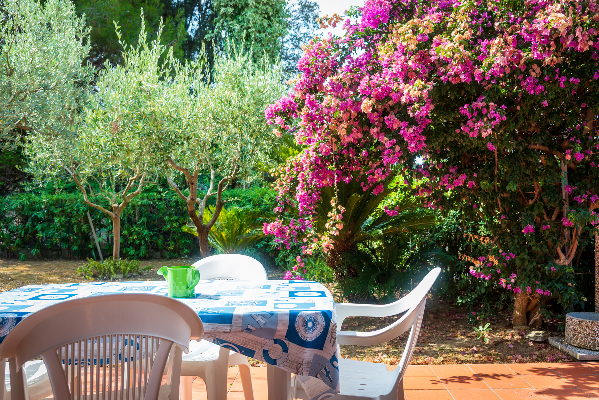 Appartamento Lacona con Giardino